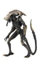 Neca : Alien contre Predator - Chrysalis Alien