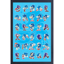 Sonic the Hedgehog: 30th Poses - Through the Years 11″ x 17″ Framed Print
