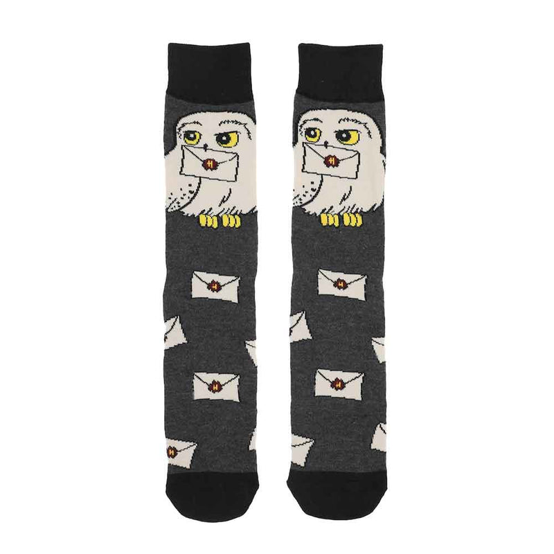 Chargez l&#39;image dans la visionneuse de la galerie, Harry Potter Hogwarts 6 Pair Crew Socks with Tin Tote
