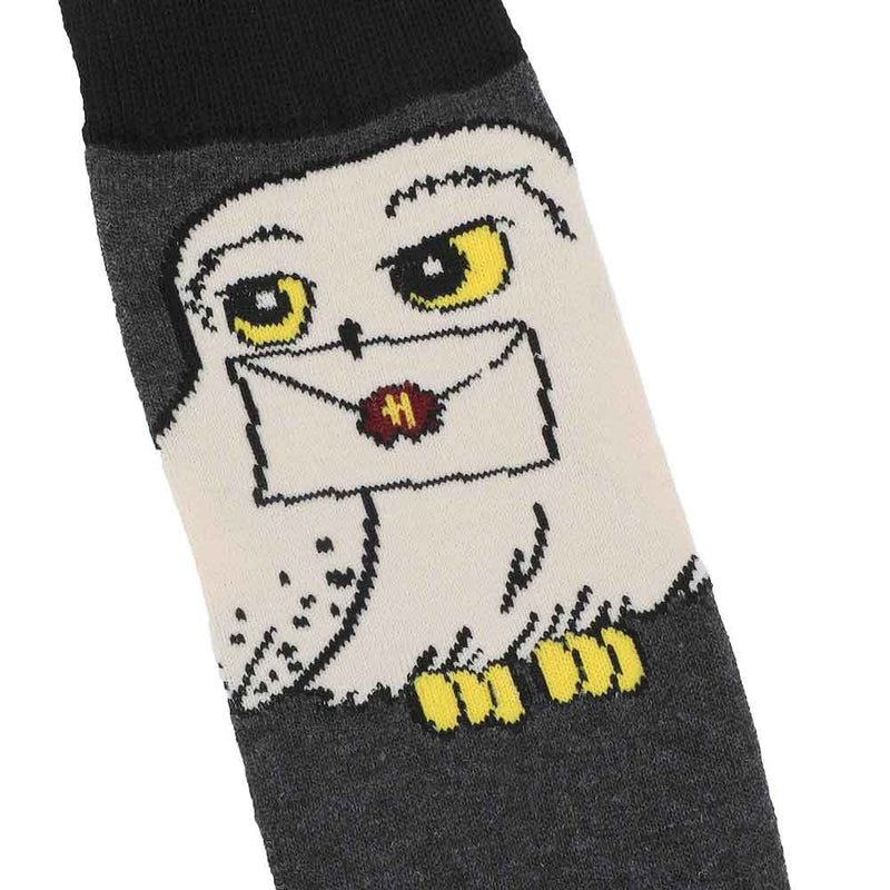 Chargez l&#39;image dans la visionneuse de la galerie, Harry Potter Hogwarts 6 Pair Crew Socks with Tin Tote
