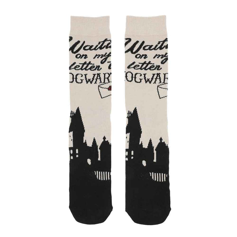 Chargez l&#39;image dans la visionneuse de la galerie, Harry Potter Hogwarts 6 Pair Crew Socks with Tin Tote
