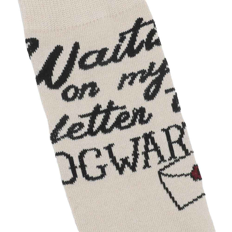 Harry Potter Hogwarts 6 Pair Crew Socks with Tin Tote