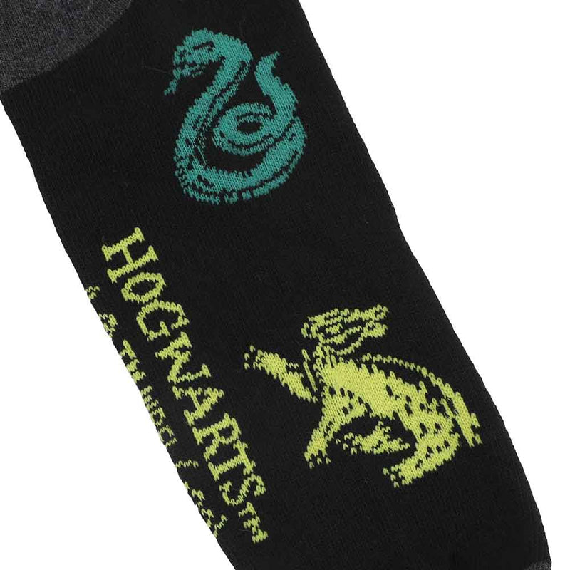 Harry Potter Hogwarts 6 Pair Crew Socks with Tin Tote