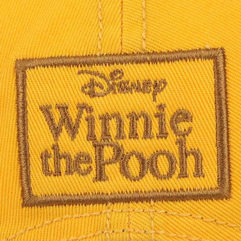 Load image into Gallery viewer, Disney Winnie the Pooh - 3D Cosplay Hat
