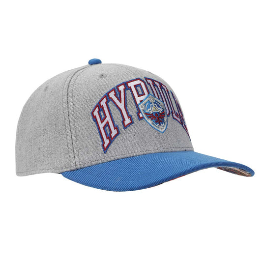 The Legend of Zelda - Hyrule Curved Bill Snapback
