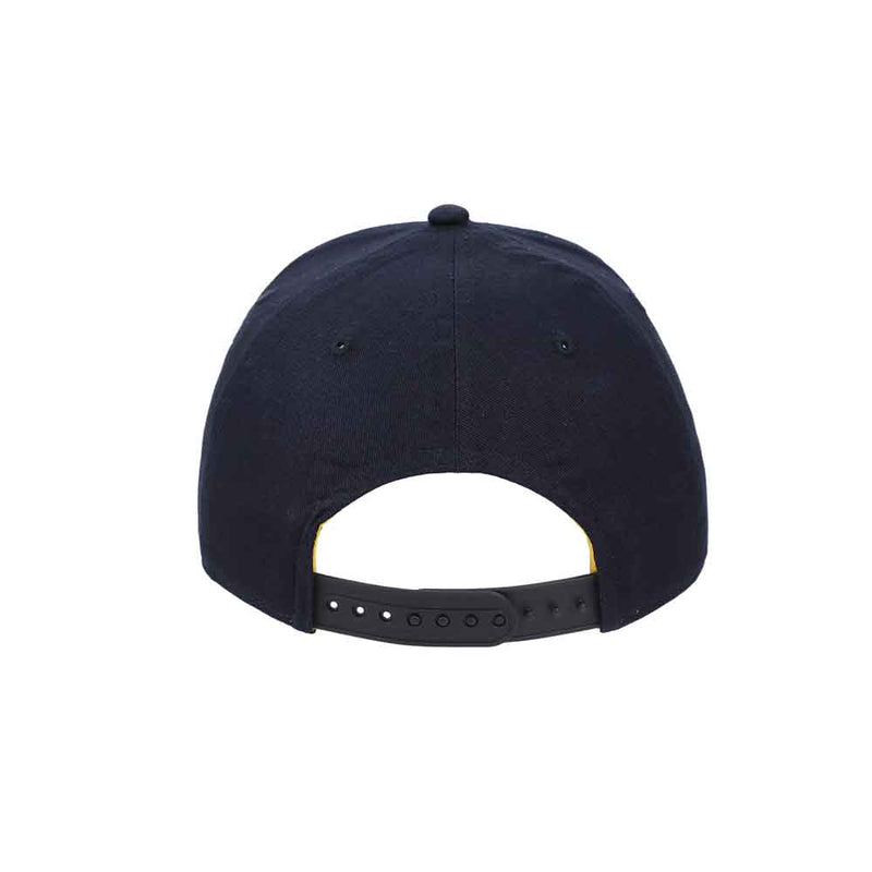 Load image into Gallery viewer, Sonic the Hedgehog - Vintage Rope Youth Curved Bill Snapback Hat
