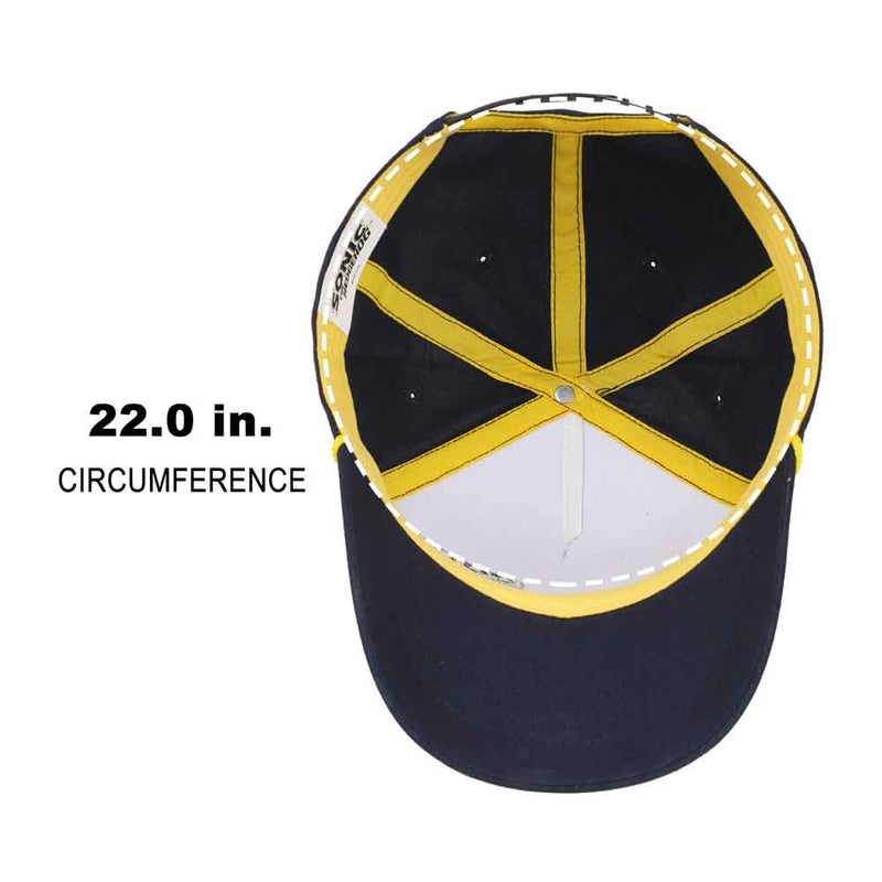 Load image into Gallery viewer, Sonic the Hedgehog - Vintage Rope Youth Curved Bill Snapback Hat
