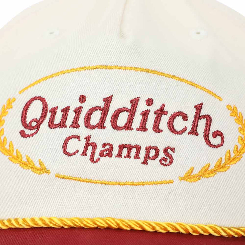 Load image into Gallery viewer, Harry Potter - Hogwarts Quidditch Champs Vintage Rope Curved Bill Snapback Hat
