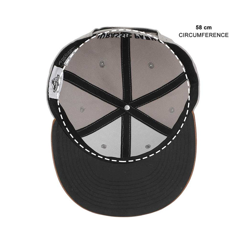 Chargez l&#39;image dans la visionneuse de la galerie, Jurassic Park - Flat Bill Snapback
