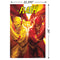 DC Comics: The Flash - Race Wall Poster