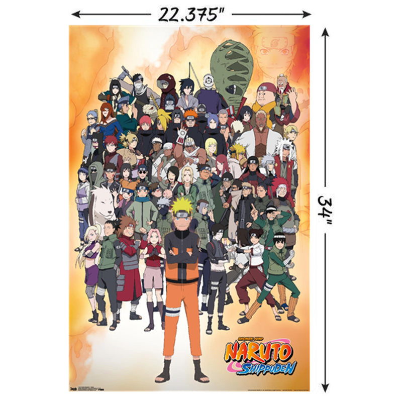 Chargez l&#39;image dans la visionneuse de la galerie, Naruto : Shippuden - Affiche murale du groupe
