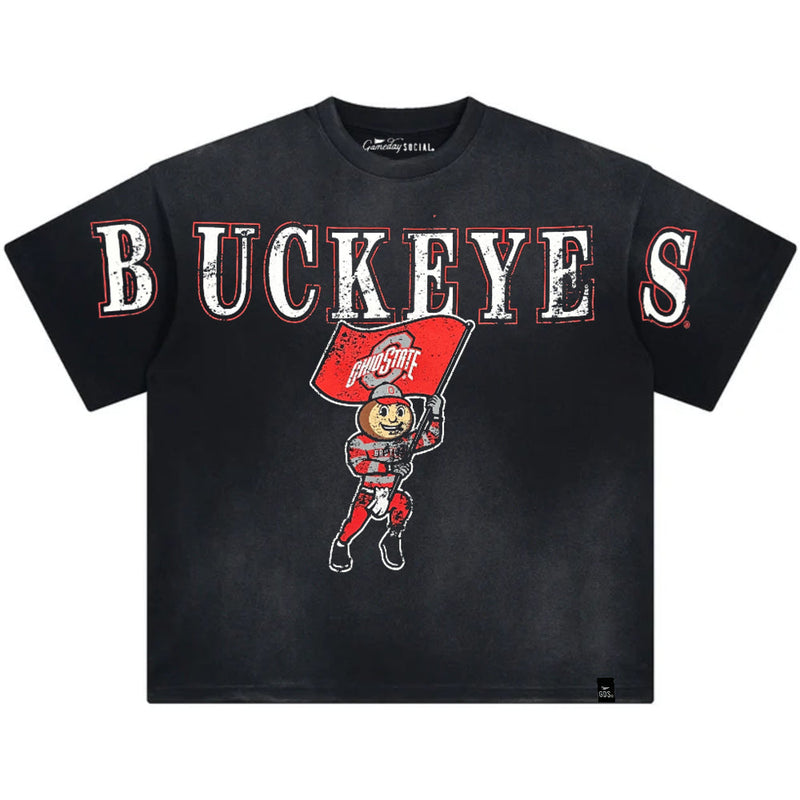 Load image into Gallery viewer, Ohio State Buckeyes - South Split Tee T-shirt
