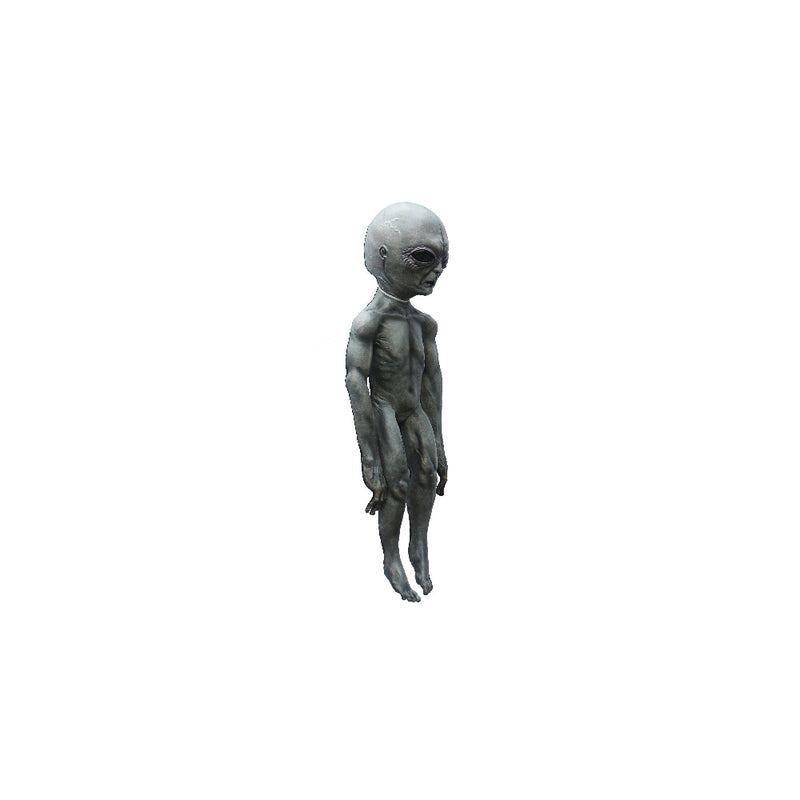 Load image into Gallery viewer, Ghoulish Aliens props - Area 51 prop Halloween Decor
