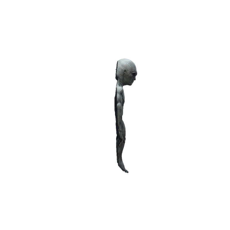 Load image into Gallery viewer, Ghoulish Aliens props - Area 51 prop Halloween Decor
