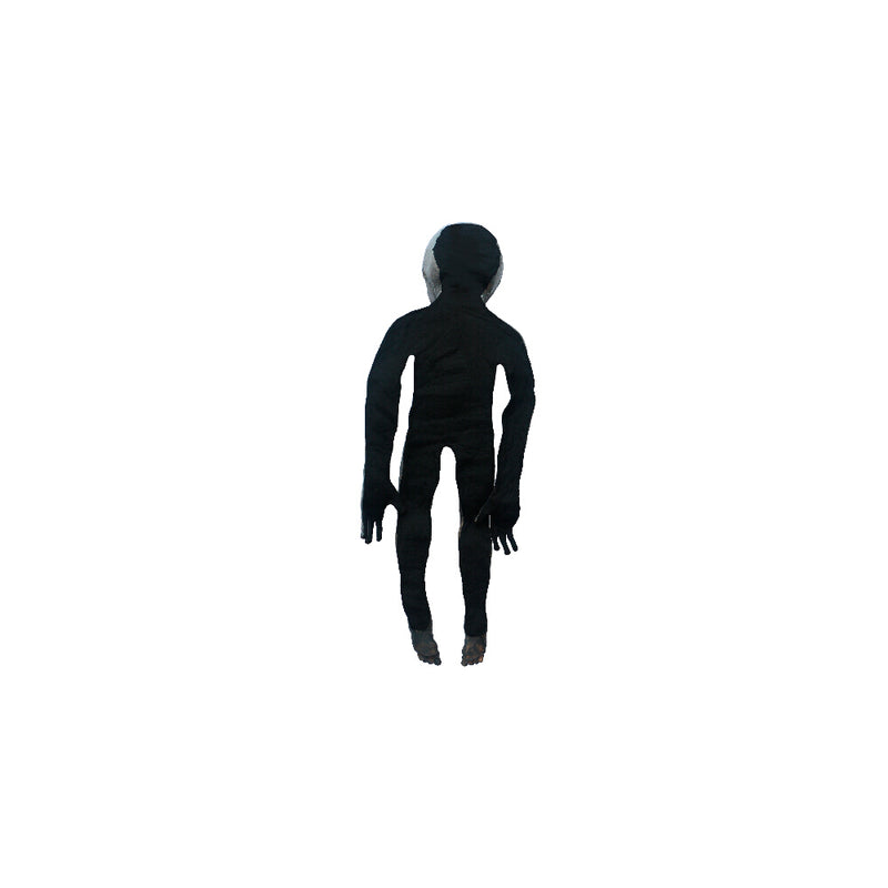 Load image into Gallery viewer, Ghoulish Aliens props - Area 51 prop Halloween Decor
