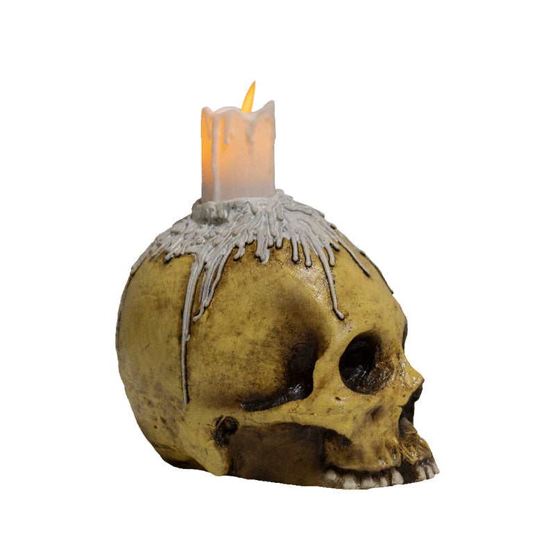 Chargez l&#39;image dans la visionneuse de la galerie, Ghoulish Skulls props - Waxed skull Halloween Decor
