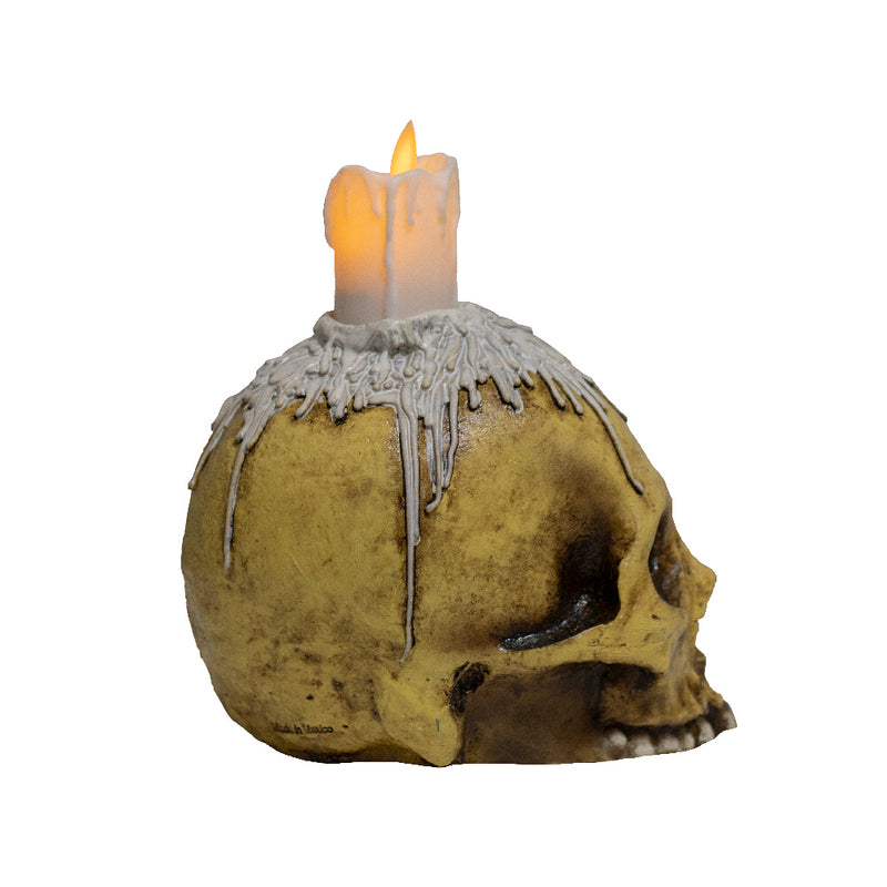 Chargez l&#39;image dans la visionneuse de la galerie, Ghoulish Skulls props - Waxed skull Halloween Decor

