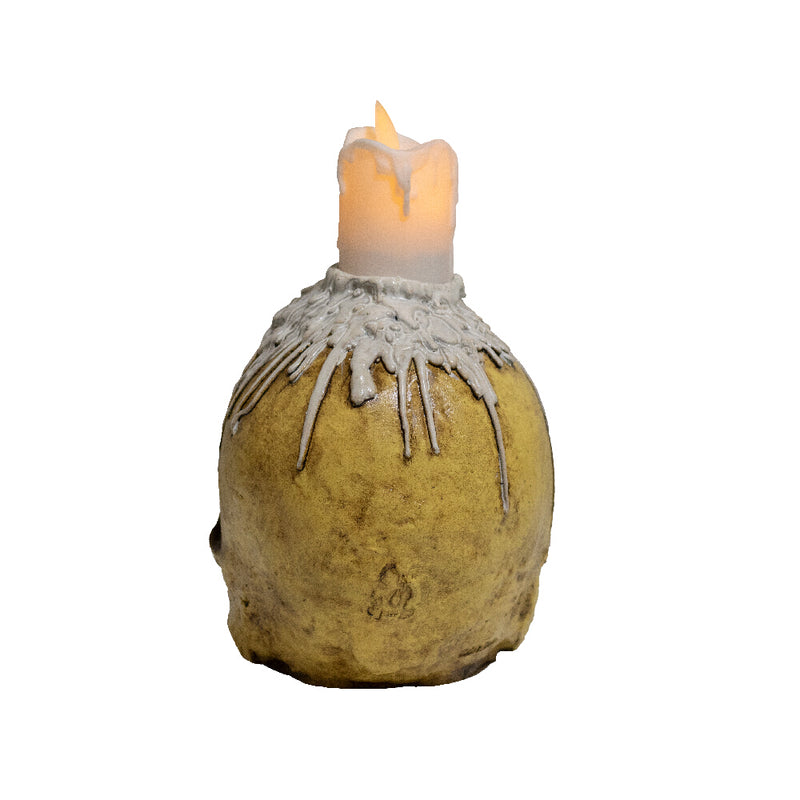 Chargez l&#39;image dans la visionneuse de la galerie, Ghoulish Skulls props - Waxed skull Halloween Decor
