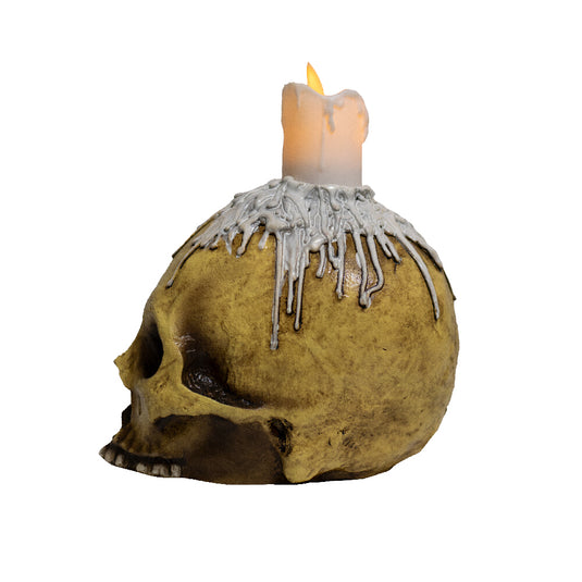 Ghoulish Skulls props - Waxed skull Halloween Decor