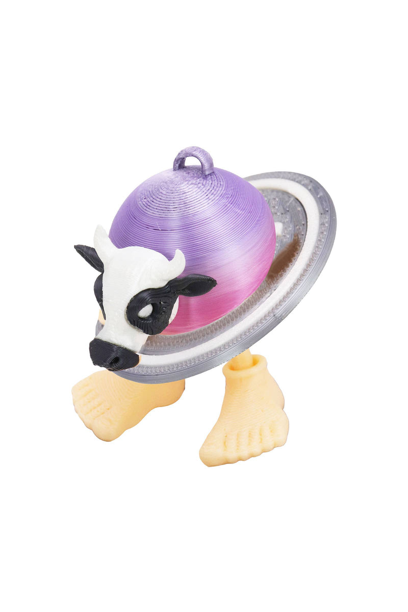 Chargez l&#39;image dans la visionneuse de la galerie, Brain Rot Meme 3d Print Articulated 1pc Keychain
