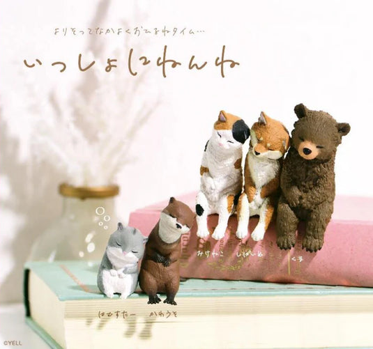 BCmini - Sleeping Animals 1pc Blind Box