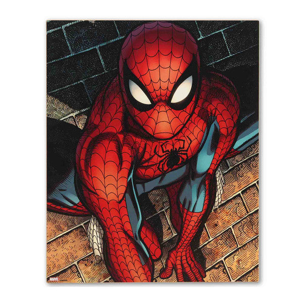 Chargez l&#39;image dans la visionneuse de la galerie, Open Road Brands Marvel Spider-Man - Brick Wall Close-Up Wood Wall Decor
