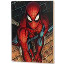 Marvel Spider-Man - Brick Wall Close-Up Wood Wall Decor
