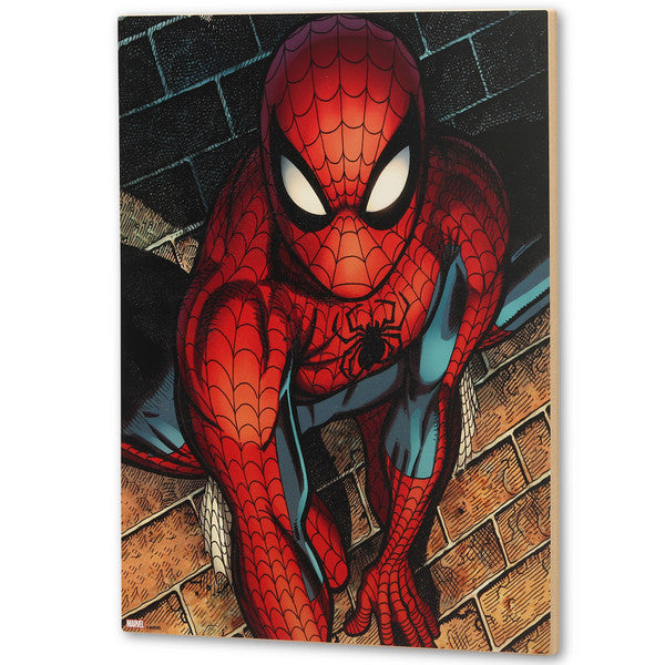 Chargez l&#39;image dans la visionneuse de la galerie, Open Road Brands Marvel Spider-Man - Brick Wall Close-Up Wood Wall Decor
