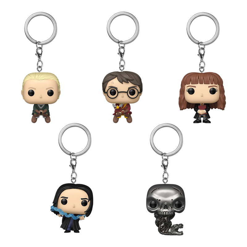 Cargue la imagen en el visor de la galería, Funko Harry Potter : Harry Potter 1pc 25th Anniversary Keychain Mystery Minis

