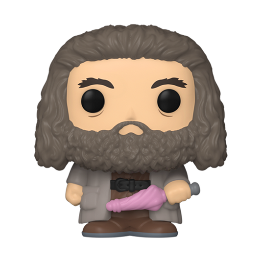 Funko Bitty POP!: Harry Potter - Characters 2-Pack Figure
