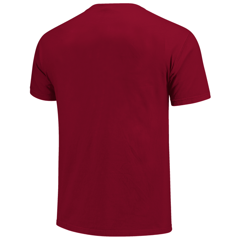 Cargue la imagen en el visor de la galería, Image One - Alabama Crimson Tide - Classic Arch &amp; Script T-Shirt
