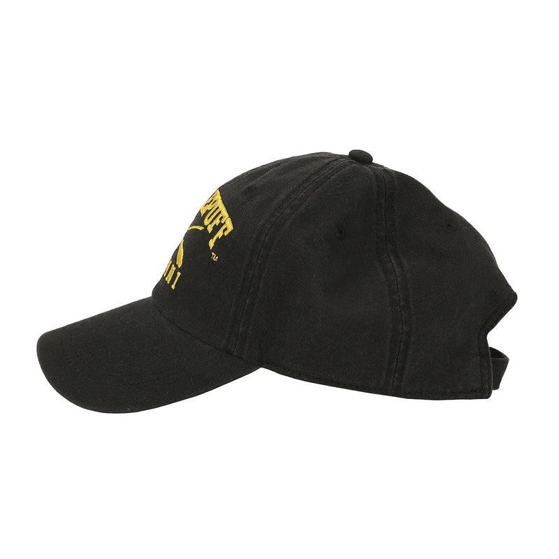 Chargez l'image dans la visionneuse de la galerie, Harry Potter - Hufflepuff Alumni Adult Unstructured Snapback Hat
