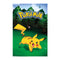 Pokemon - Pikachu Catch Wall Poster