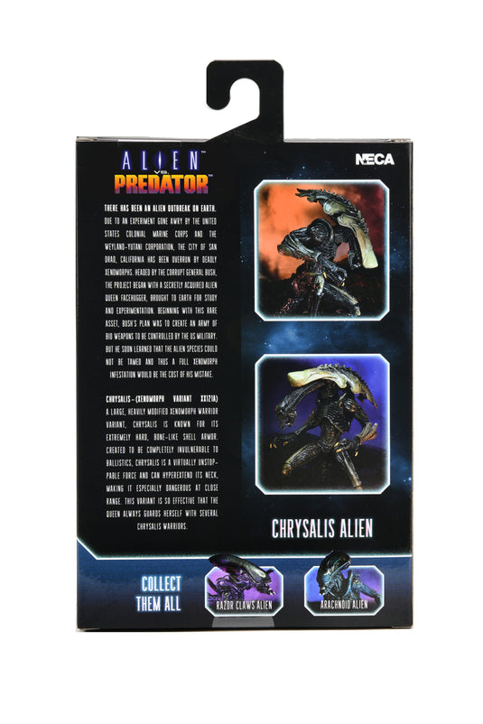 Neca : Alien contre Predator - Chrysalis Alien