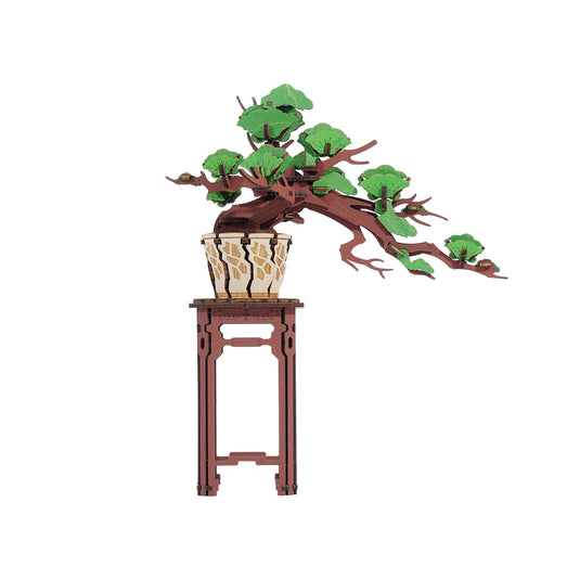 Hands Craft Evergreen Pine Bonsai - 3D Wooden Puzzle