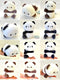 BCmini Panda 6" Mystery Plush