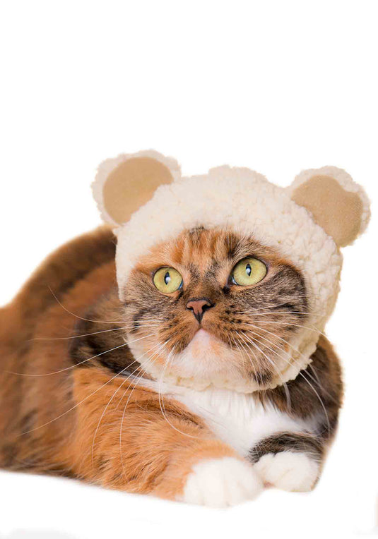 Clever Idiots Inc. Kitan Club - Bear Cat Cap Single Random Blind Box