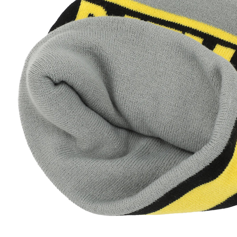 Cargue la imagen en el visor de la galería, Dc comics - Batman Classic Bat Logo Cuff Beanie
