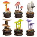 Mushroom Garden  Version 2 Blind Box