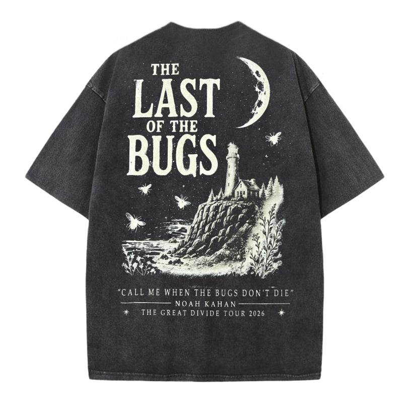 Cargue la imagen en el visor de la galería, Noah Kahan - The Last Of The Bugs Comfort T-shirt
