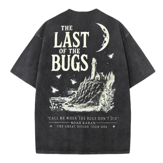 Noah Kahan - The Last Of The Bugs Comfort T-shirt