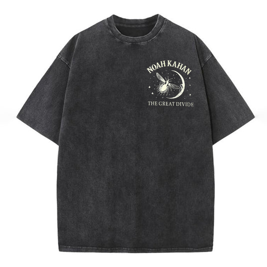 Noah Kahan - The Last Of The Bugs Comfort T-shirt