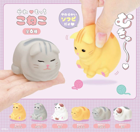 BCmini Soft Kitten Cat Blind Box
