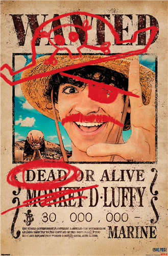 Trends International One Piece Season 2 - Wanted Monkey D Luffy Poster