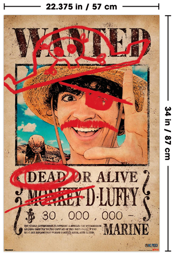 Cargue la imagen en el visor de la galería, Trends International One Piece Season 2 - Wanted Monkey D Luffy Poster

