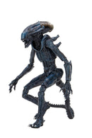 Neca: Alien vs. Predator - Arachnoid Alien