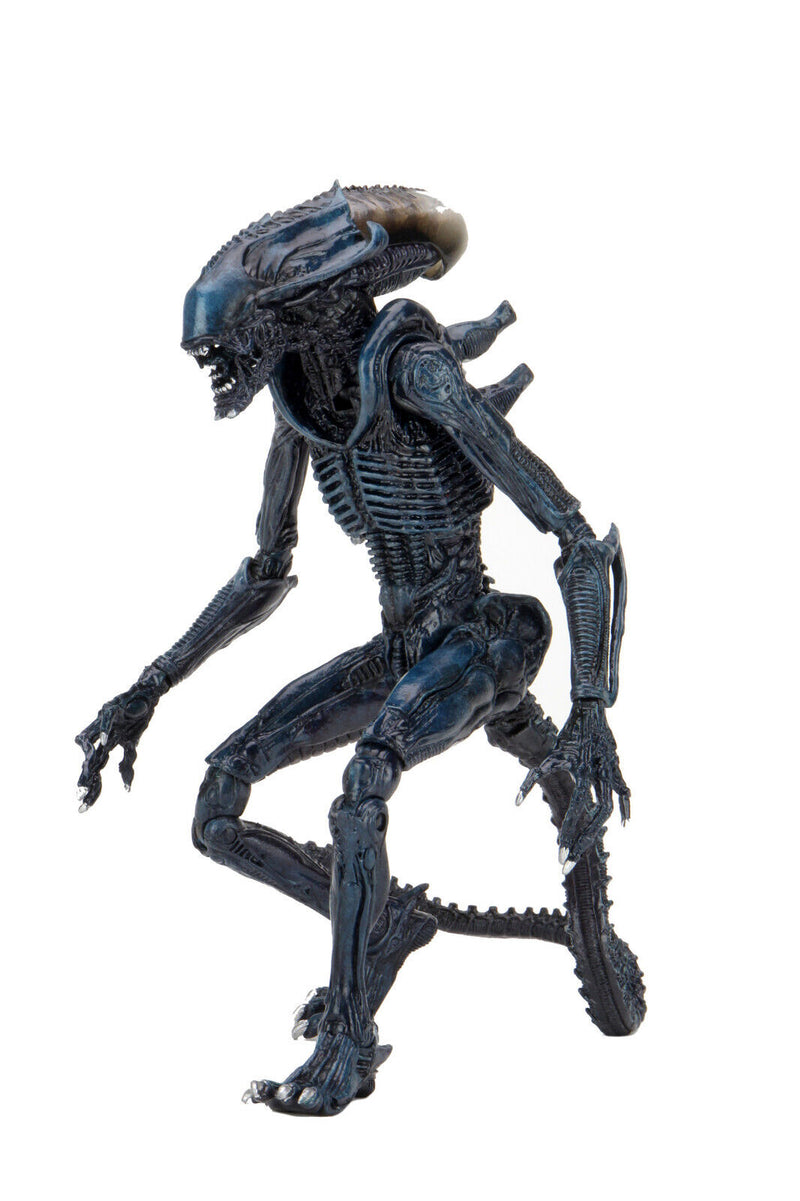 Cargue la imagen en el visor de la galería, Neca: Alien vs. Predator - Alienígena aracnoide
