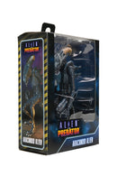 Neca: Alien vs. Predator - Alienígena aracnoide