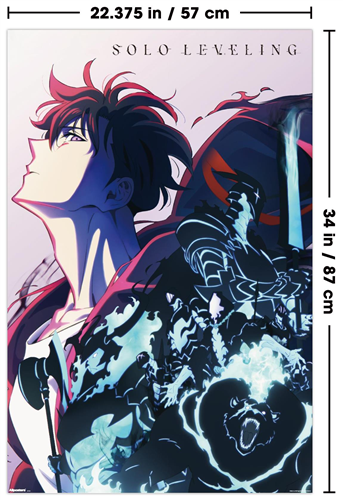 Chargez l&#39;image dans la visionneuse de la galerie, Trends International Solo Leveling - Season 2 Teaser Key Art Wall Poster
