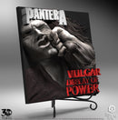 Pantera Vulgar - Display of Power Statue